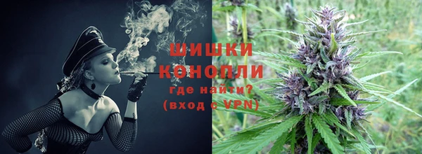 крисы Белокуриха