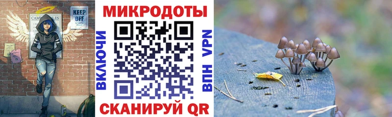 купить закладку  Салаир  кракен рабочий сайт  Галлюциногенные грибы Cubensis 